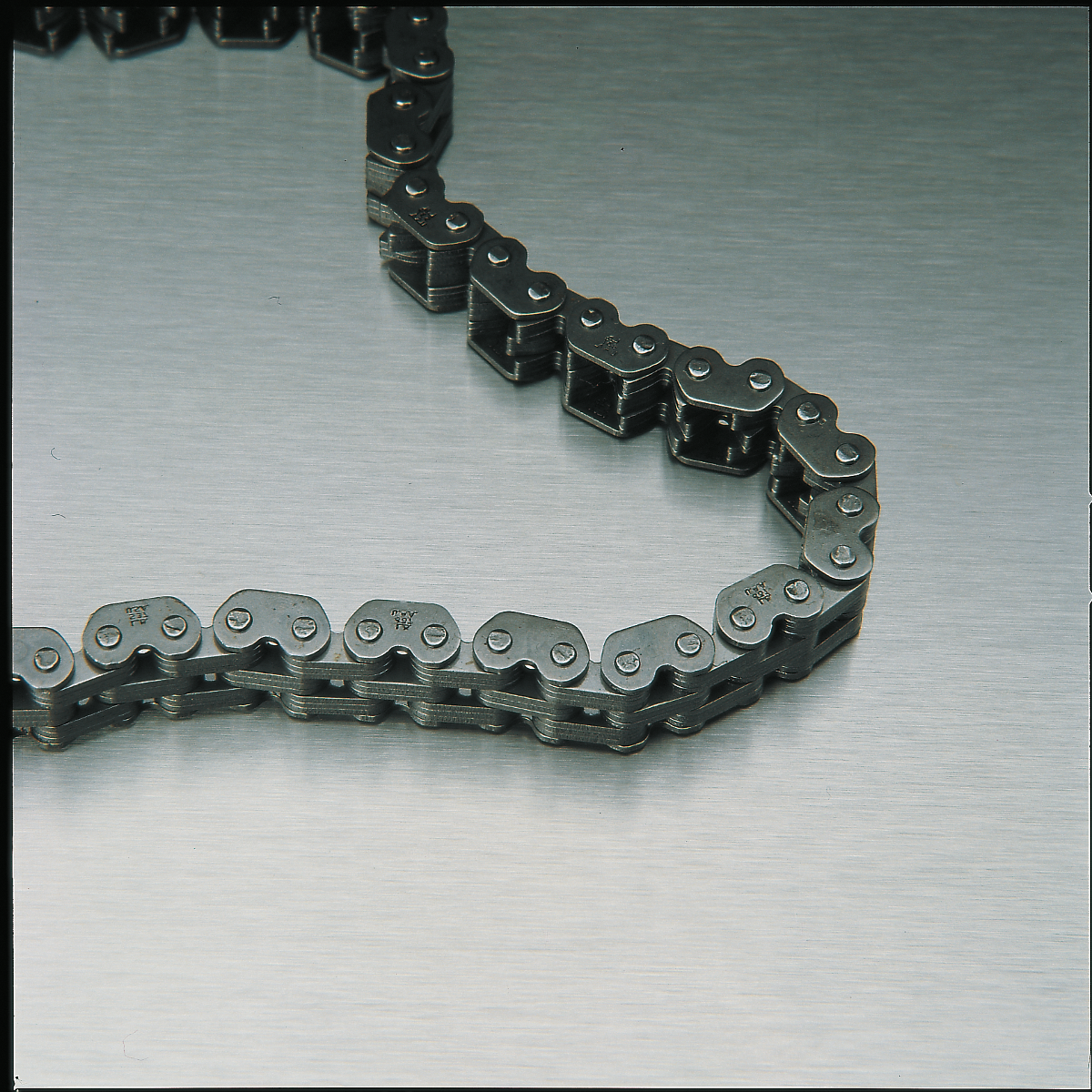 REXNORD CORPORATION Silent Chain - 15 Width - 74 Links S37TNB1574PAW