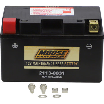 Moose Utility AGM Battery - CTZ10S CTZ10S | Battery Group