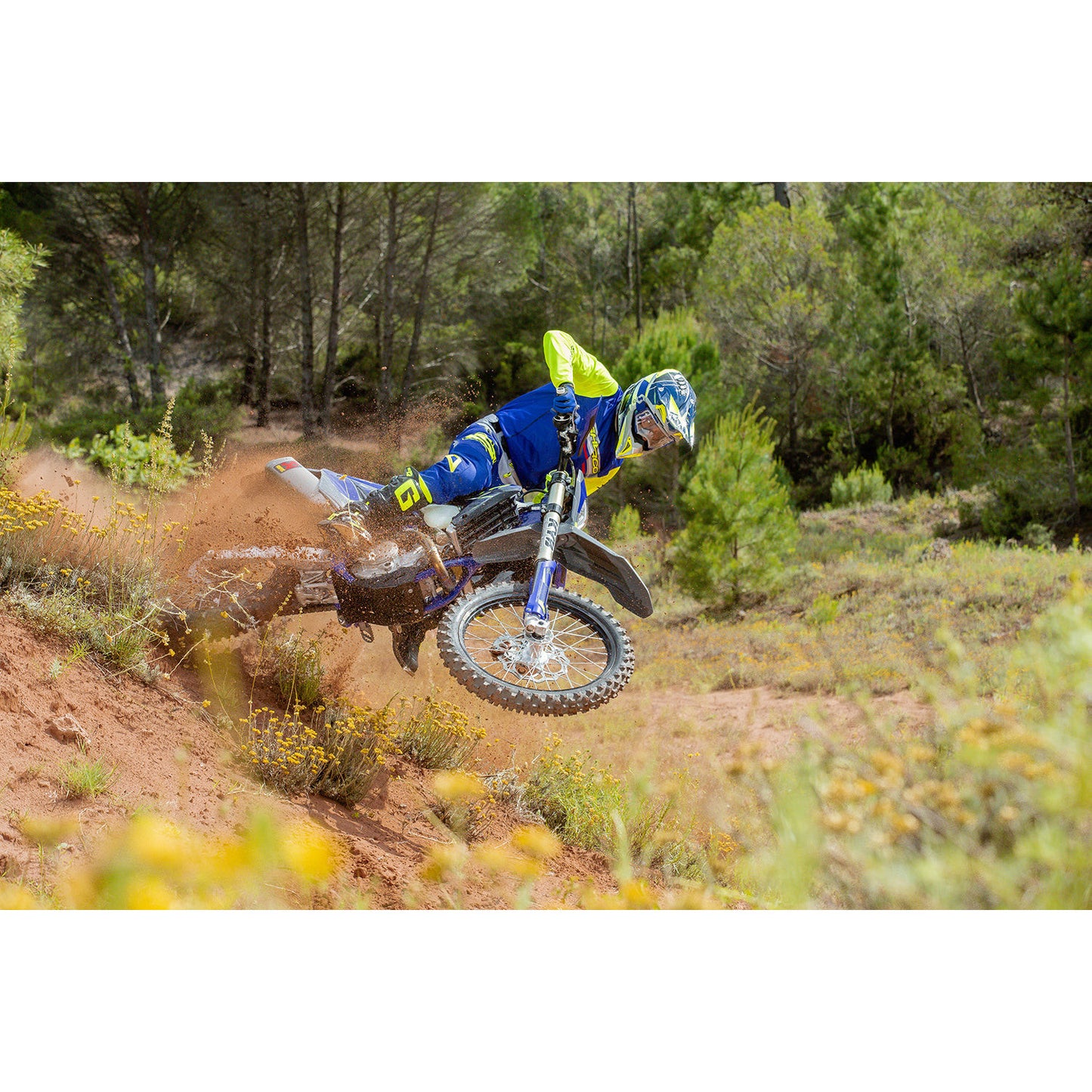 250 SEF FACTORY 2024