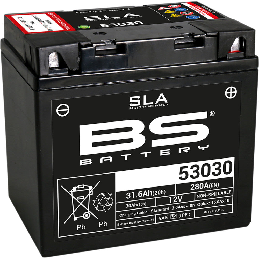 BS Battery Battery - 53030 300880