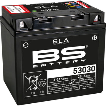 BS Battery Battery - 53030 300880