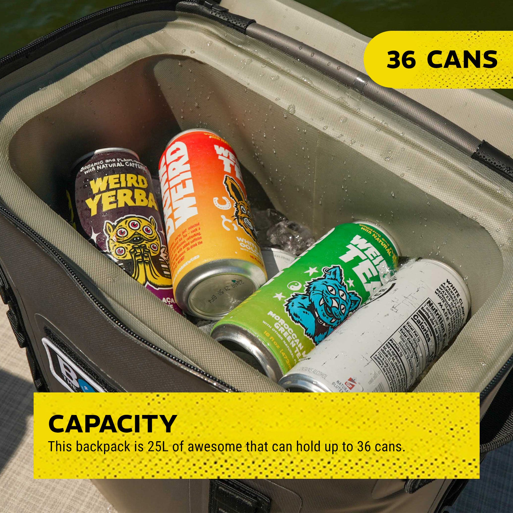 BOBs 25-L Insulated Backpack Cooler by BOB The Cooler Co