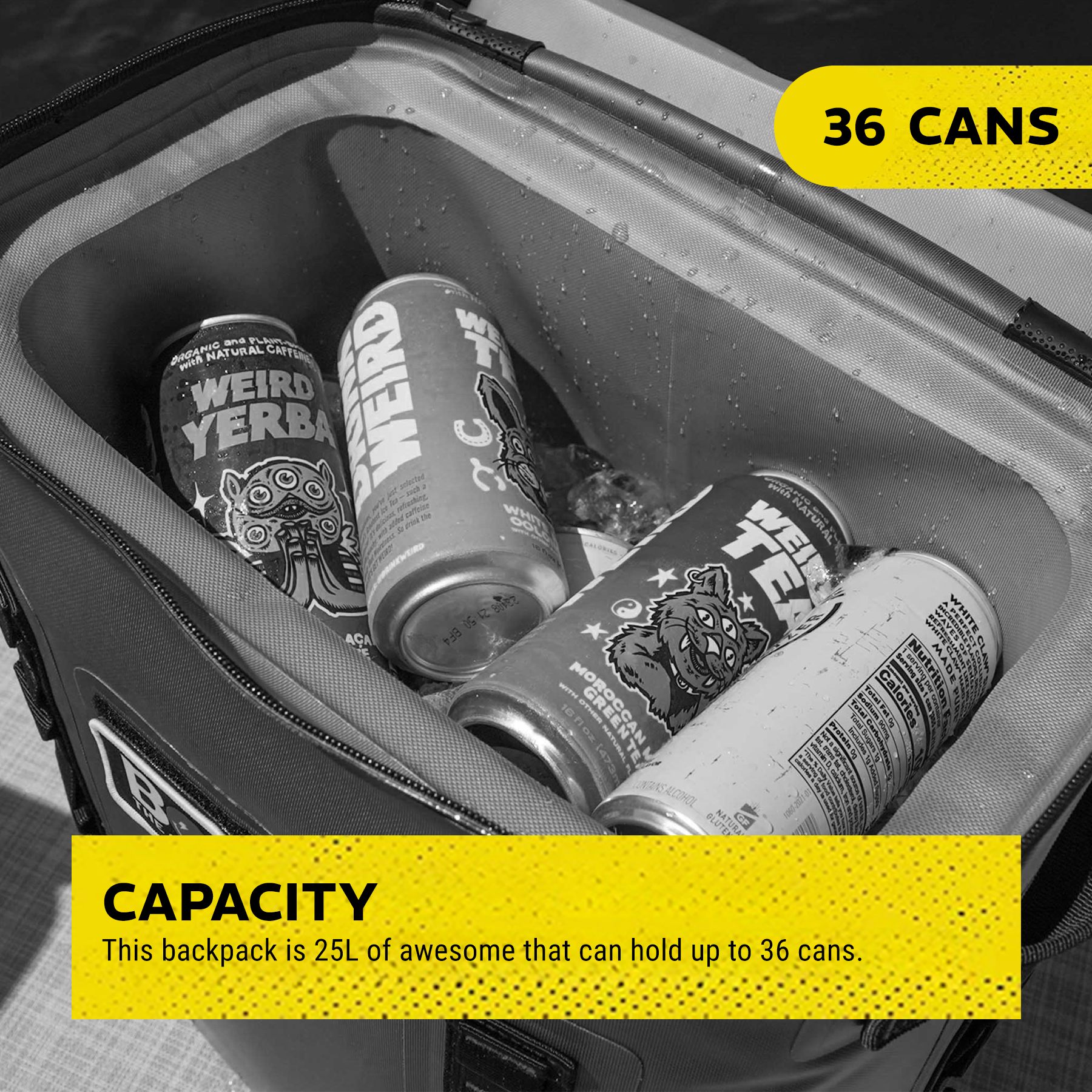 BOBs 25-L Insulated Backpack Cooler by BOB The Cooler Co