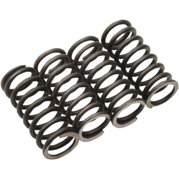 MOOSE OFFROAD Clutch Springs - TTR 125/L MHDS42-4