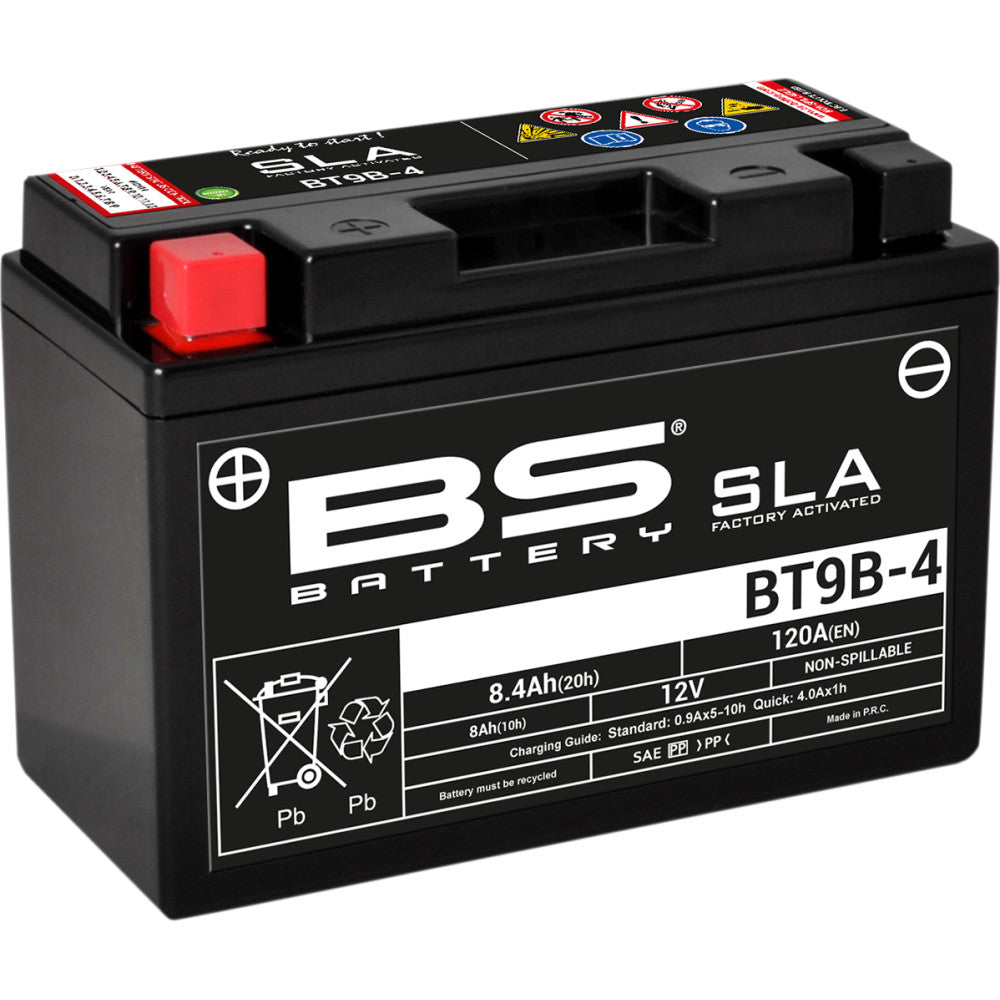 BS Battery Battery - BT9B-4 (YT) 300642