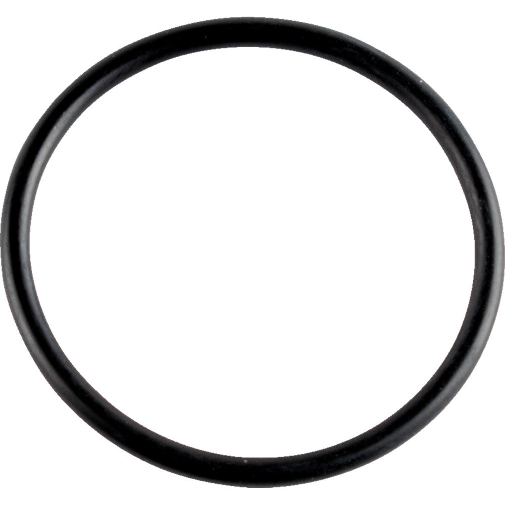 WSM Cam Cover O-Ring - Sea Doo 008-600-01