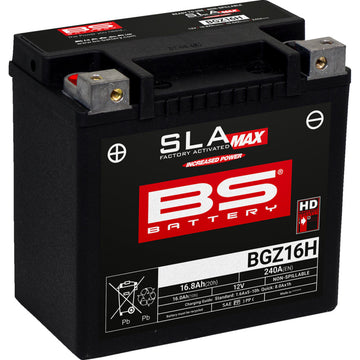 BS Battery Battery - BGZ16H 300931