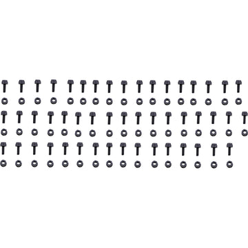 BOLT Fastener Kit - License Plate - 50PK LPFB50