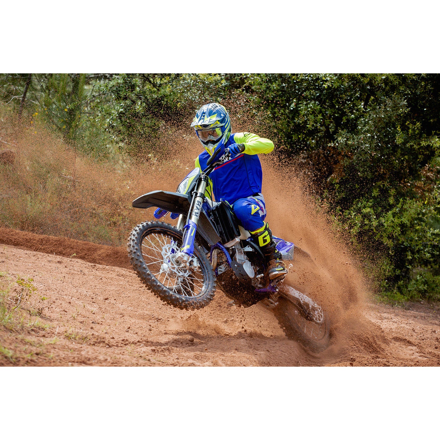 450 SEF FACTORY 2024