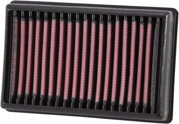 K & N OE Replacement High-Flow Air Filter - BMW BM-1113