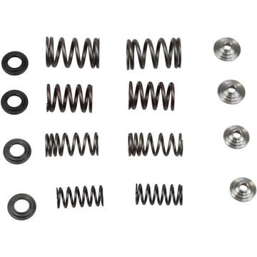 KIBBLEWHITE Spring Kit - .440" 30-31250