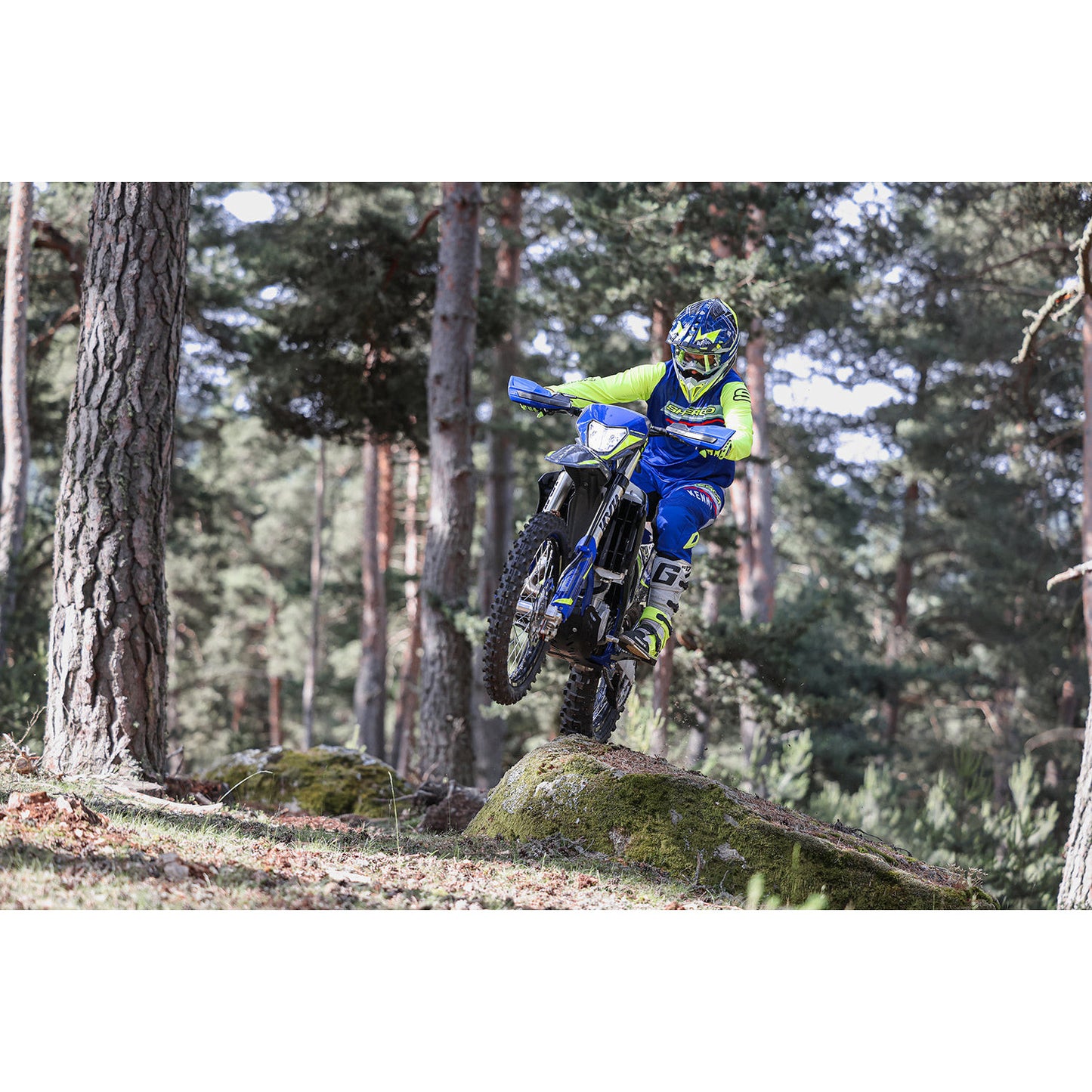 500 SEF FACTORY 2024