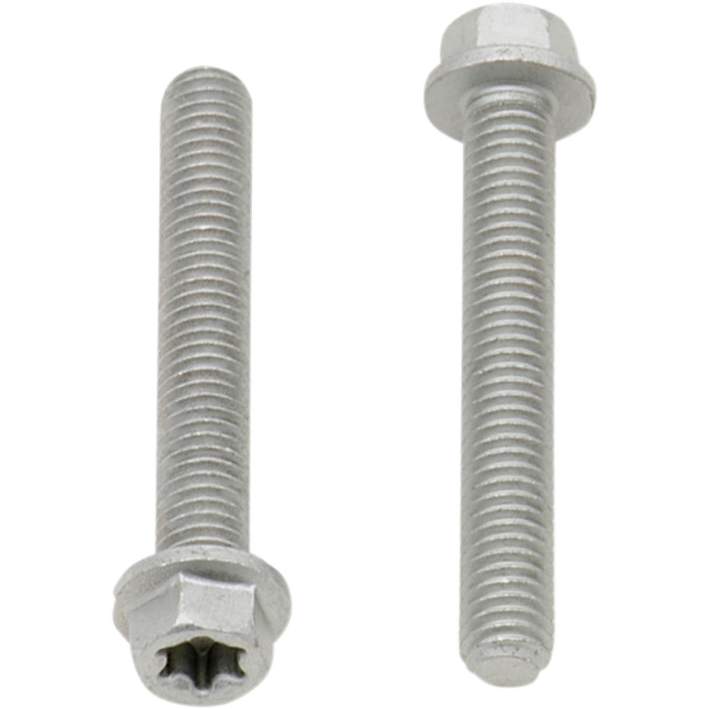 BOLT Bolt - European - M6 x 40 - 10-Pack 024-60640