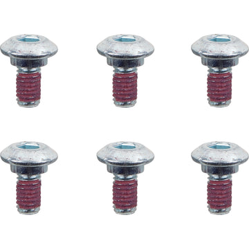 MOTO-MASTER Bolts - Rotor - M6 x 13 12011-PU