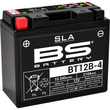 BS Battery Battery - BT12B-4 (YT) 300643