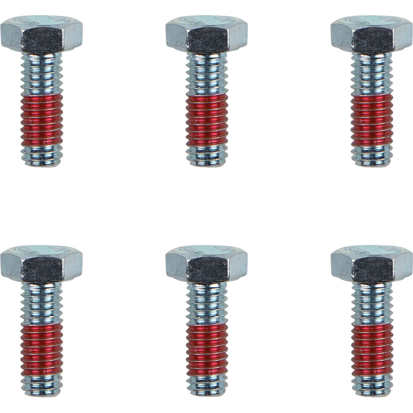 MOTO-MASTER Bolts - Rotor - M6 x 17 12021-PU