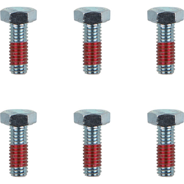 MOTO-MASTER Bolts - Rotor - M6 x 17 12021-PU
