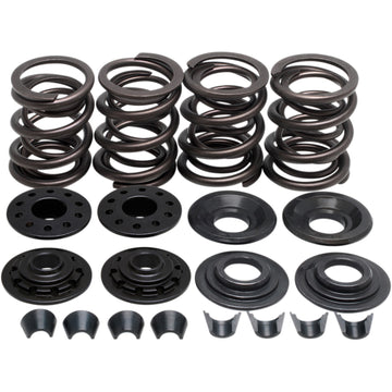 KIBBLEWHITE Valve Spring Kit - XL 20-2210