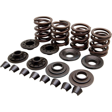 KIBBLEWHITE Valve Spring Kit - XL 20-20440