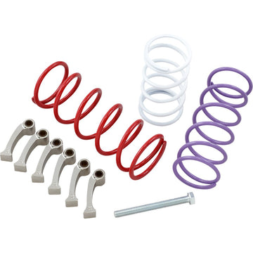 EPI Clutch Kit WE437017