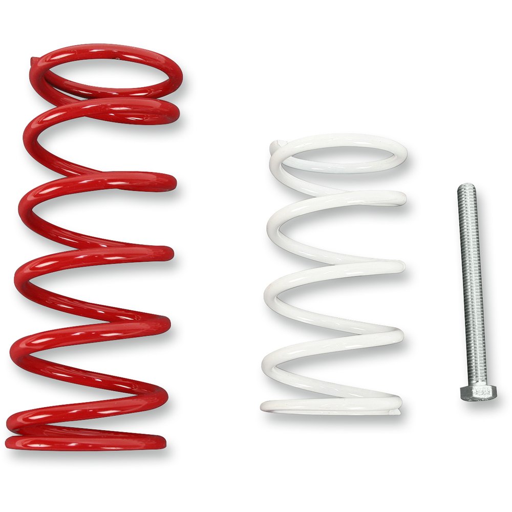 EPI Economy Clutch Kit WE397440