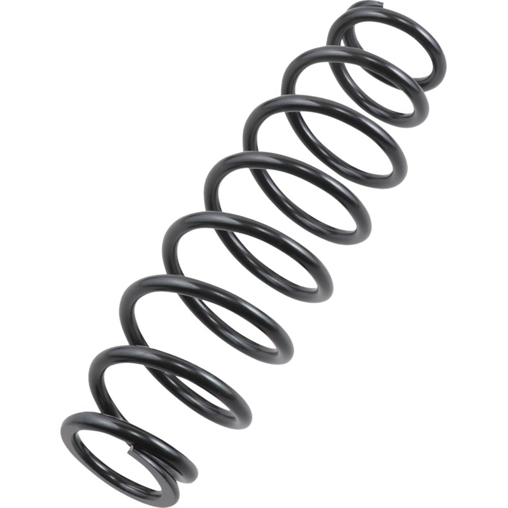 EPI Front/Rear Spring - Heavy Duty - Black - Spring Rate 120 lb/in WE325117