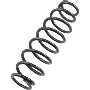 EPI Front/Rear Spring - Heavy Duty - Black - Spring Rate 120 lb/in WE325117