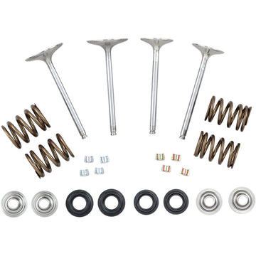 Xceldyne Complete Valve Kit X2VMK33001