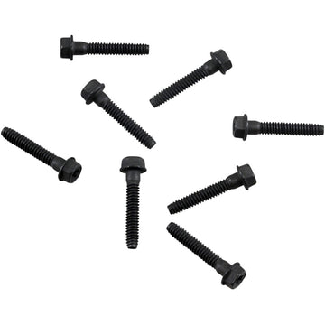 Comet 108 4-Pro Cover Plate Bolt Kit 217099A