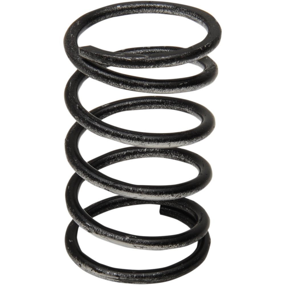 Comet Clutch Spring - Silver/Red 209677A