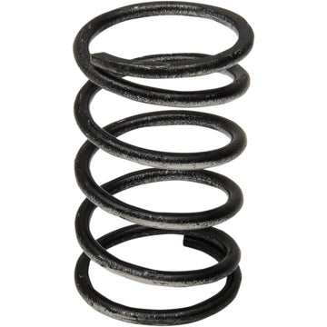 Comet Clutch Spring - Silver/Red 209677A