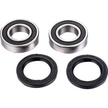 Factory Links Axle Bearing Kit - Rear - CF Moto ARA-F-001