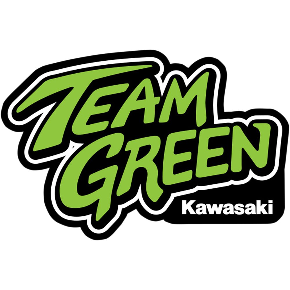 D'COR VISUALS Decal Sheet - 4" - Team Green 40-20-200
