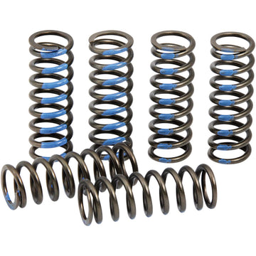 PRO CIRCUIT Clutch Springs - YZ 250F CSY19250-CS