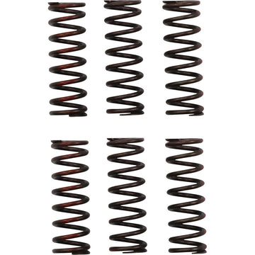 PRO CIRCUIT Clutch Springs - CRF 450R CSH21450-CS