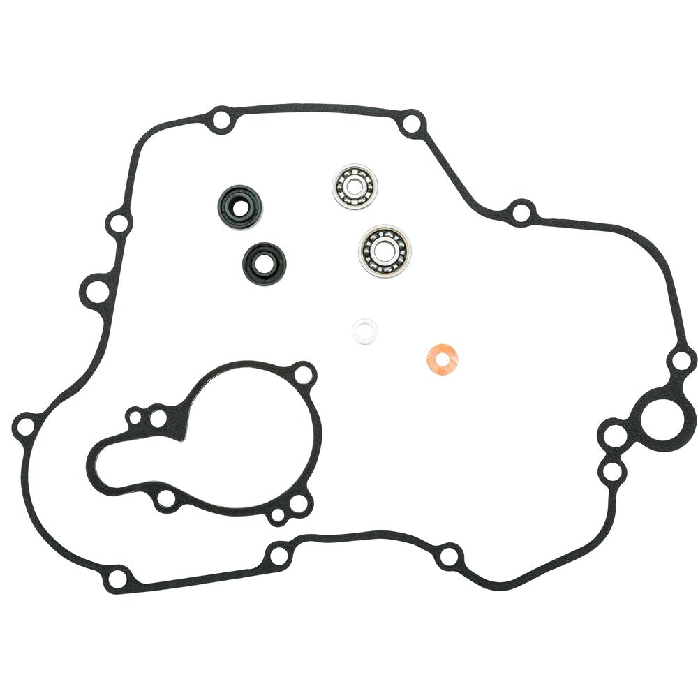 Water Pump Repair Kit W/Bearings Kaw