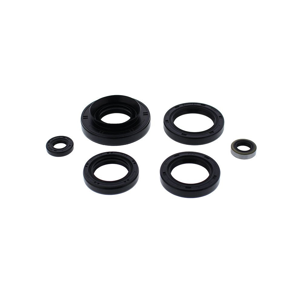 Oil Seal Set
