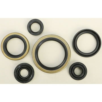 Oil Seal Set