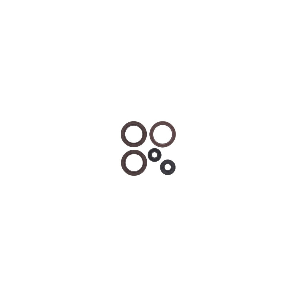 Engine Oil Seal Kit Can