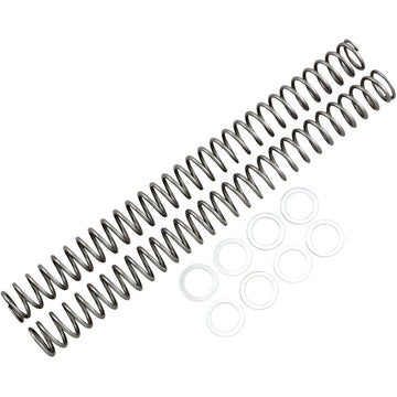 RACE TECH Fork Springs - 0.44 kg/mm FRSP 414744