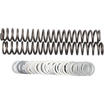 RACE TECH Fork Springs - 0.95 kg/mm FRSP S3827095