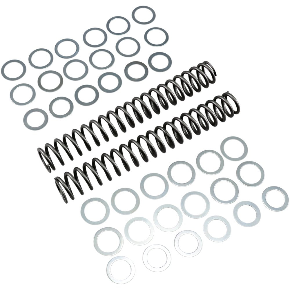 RACE TECH Fork Springs - 1.00 kg/mm FRSP S3827100