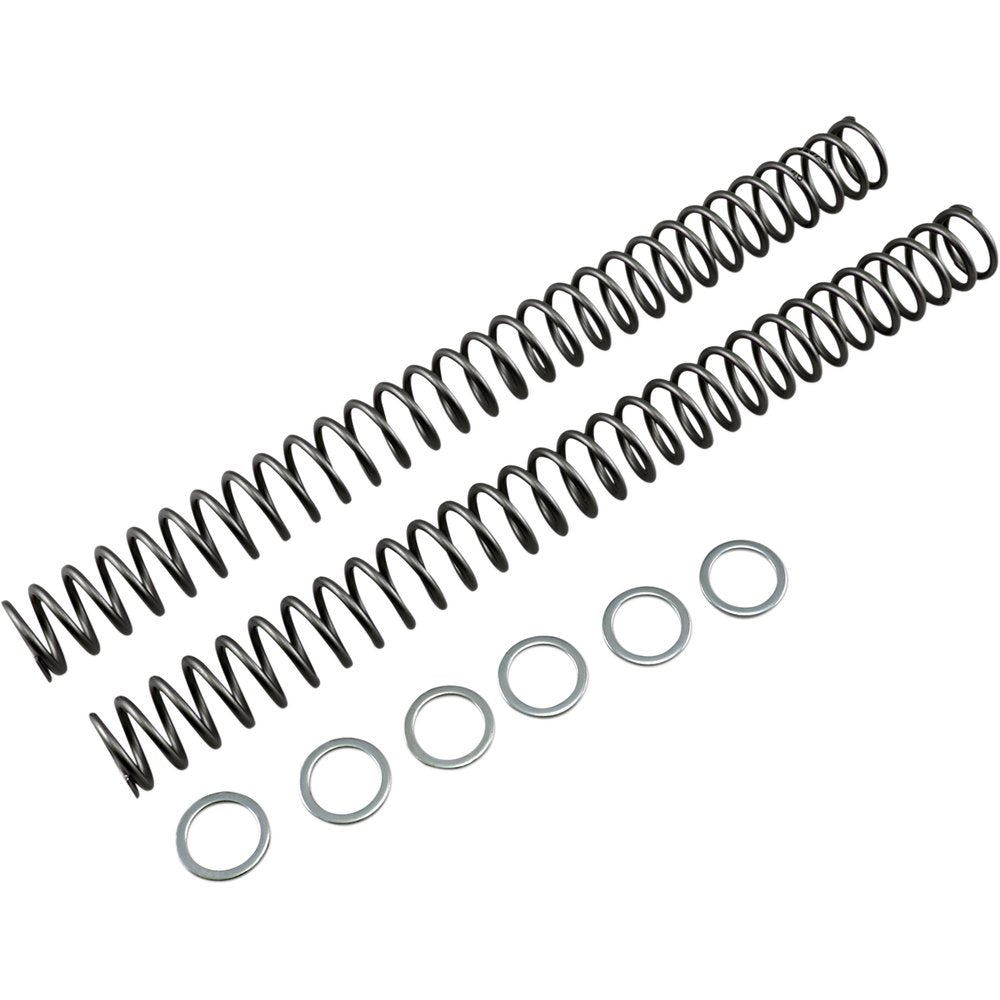 RACE TECH Fork Springs - 0.46 kg/mm FRSP 435146