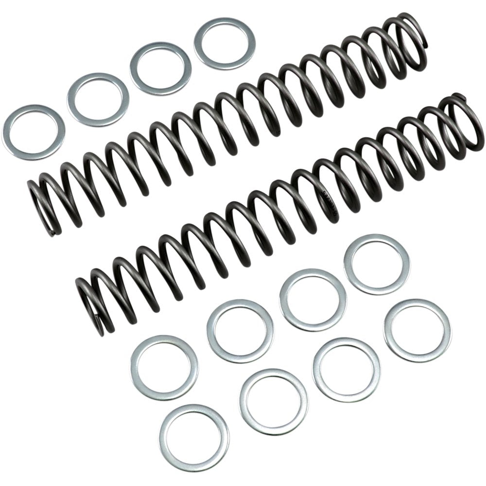 RACE TECH Fork Springs - 0.95 kg/mm FRSP S3825095