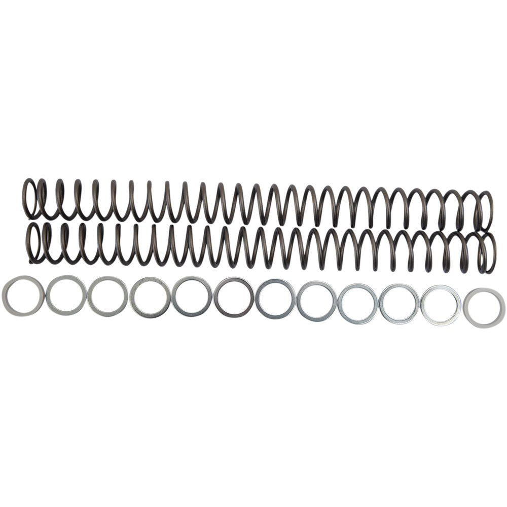 RACE TECH Fork Springs - 0.48 kg/mm FRSP 434648
