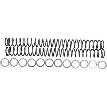 RACE TECH Fork Springs - 0.48 kg/mm FRSP 434648