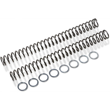 RACE TECH Fork Springs - 0.54 kg/mm FRSP 454754