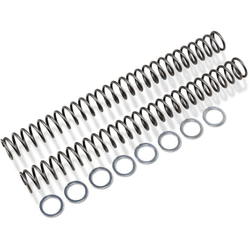 RACE TECH Fork Springs - 0.52 kg/mm FRSP 454752