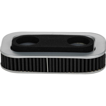 Performance Air Filter Repl OEM 29331 96/29036 88b