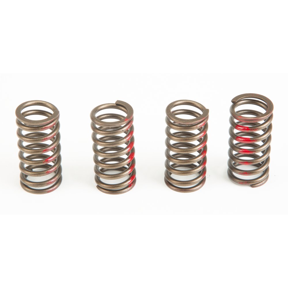 Clutch Springs